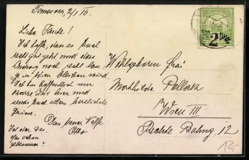 AK Temesvár, M. kir. áll. fögimnázium