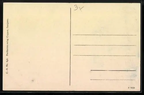 AK Rogatica, Ortsansicht aus der Vogelschau