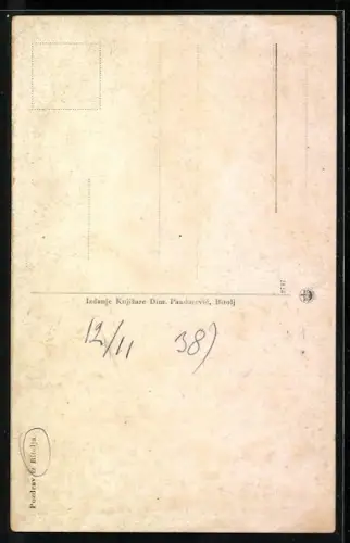 AK Bitolja, Panorama