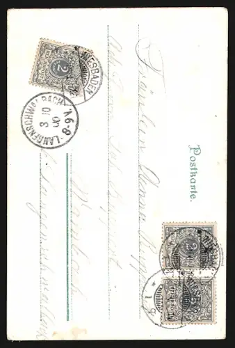 Lithographie St. Goar /Rhein, Ruine Katz, Loreley Felsen, Rheinansicht