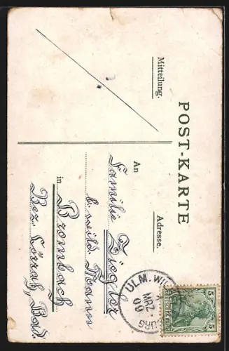Künstler-AK Ulm / Donau, Stadtansicht mit Münster, Wappen