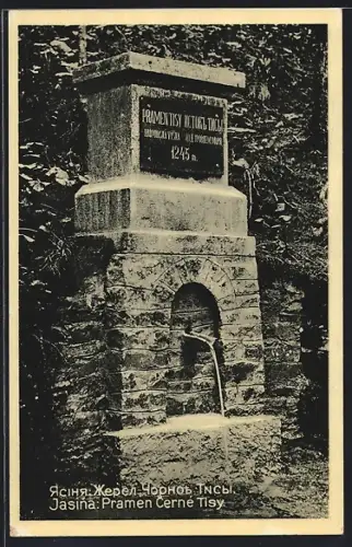 AK Jasina, Pramen Cerné Tisy