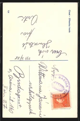 AK Chust, Zriceniny hradu