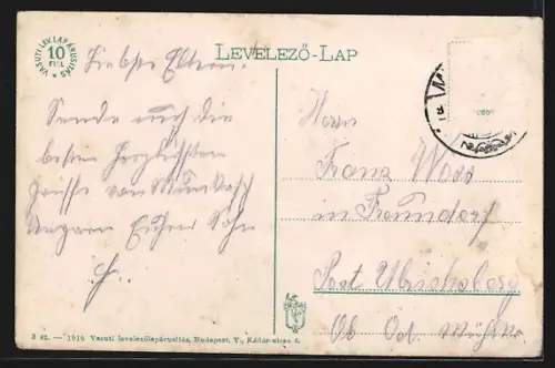 AK Munkács, Látképe