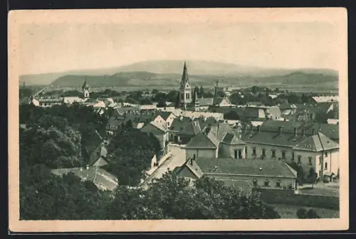 AK Mukacevo, Ortsansicht aus der Vogelschau