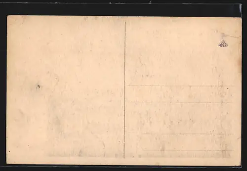 AK Munkács, Látkép