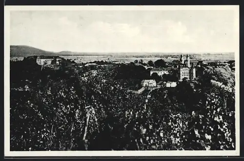 AK Uzhorod, Celkový pohled