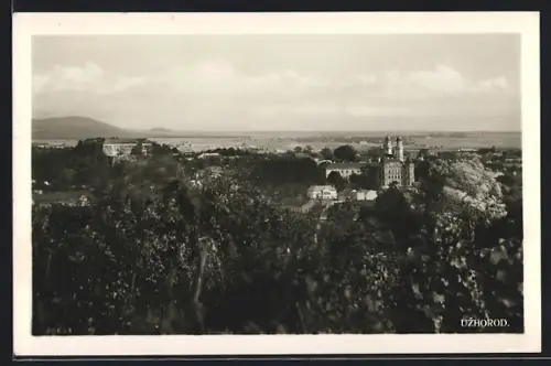 AK Uzhorod, Panorama