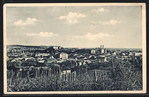 AK Uzhorod, Celkový pohled