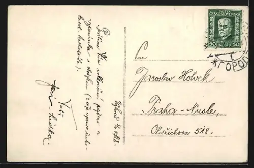 AK Uzhorod, Panorama