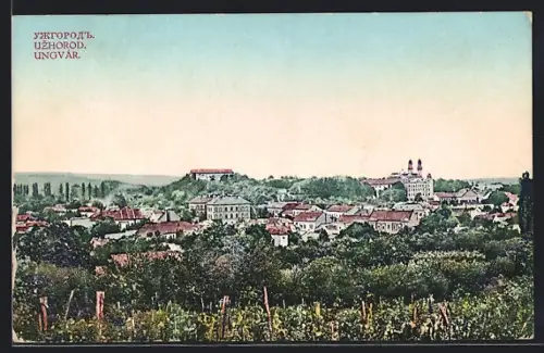 AK Ungvár, Látkép