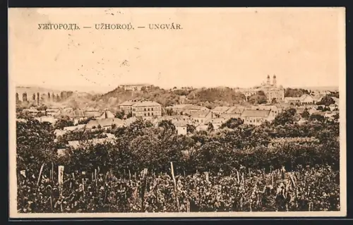 AK Ungvar / Uzhorod, Totalansicht vom Feld gesehen