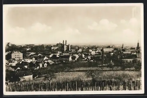 AK Uzhorod, Celkový pohled