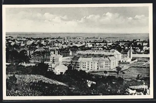 AK Uzhorod, Celkový pohled