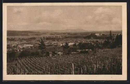 AK Uzhorod, Pohled s vrsku Kalvarie