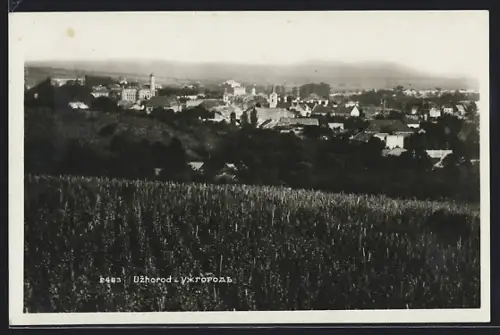 AK Uzhorod, Panorama