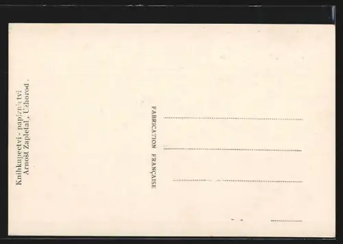 AK Uzhorod, Panorama