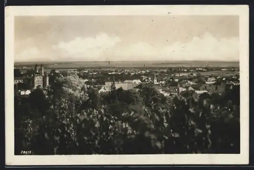 AK Uzhorod, Celkovy pohled