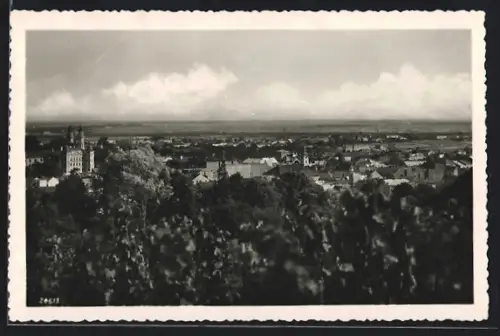 AK Uzhorod, Celkový pohled