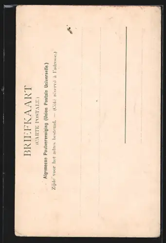 AK Rotterdam, Witte huis