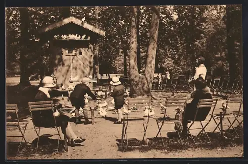 AK Bruxelles, L`Ile Robinson, Bois de la Cambre, Les pigeons