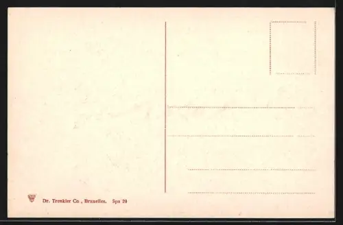 AK Spa, Panorama mit Strassenpartie