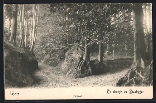 AK Uccle, Le chemin du Grabbegat