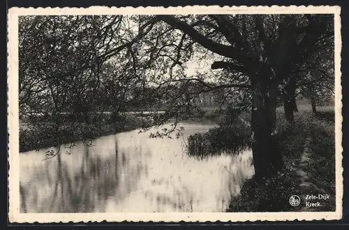 AK Zele-Dijk, Kreek