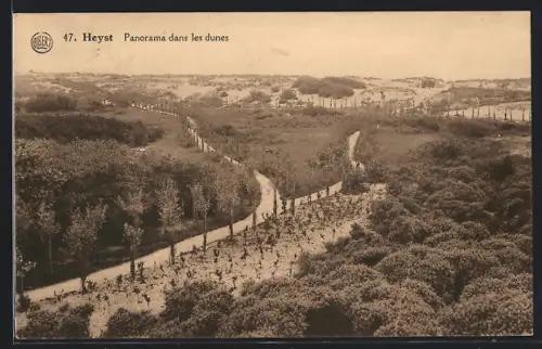 AK Heyst, Panorama dans les dunes