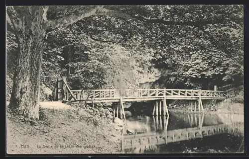 AK Han s. Lesse, La Sortie de la Lesse des grottes