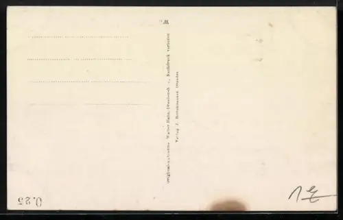Foto-AK Walter Hahn, Dresden, Nr. 3781: Jagdschloss, Moritzburg, Fliegeraufnahme