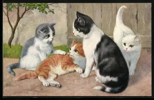 AK junge Katzen spielen im Garten