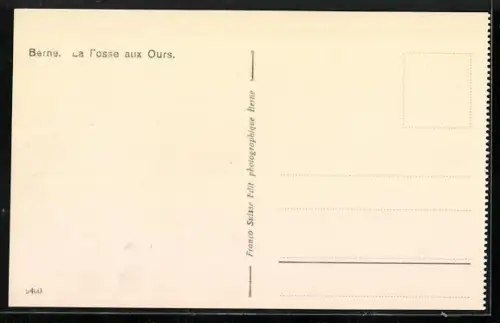 AK Bern / Berne, Bären im Bärengraben, La Fosse aux Ours