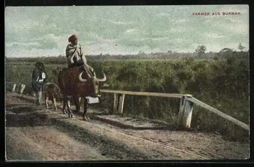 AK Burmah, Farmer reitet mit Stier auf der Strasse