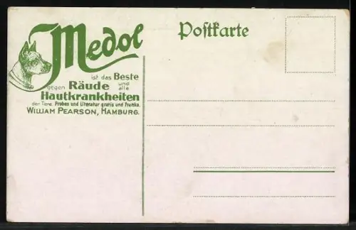 AK Burmah, Farmer reitet mit Stier auf der Strasse