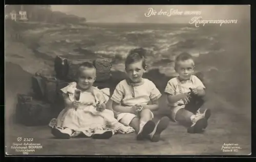 AK Die drei Söhne des Kronprinzenpaares vor Meeresbild sitzend