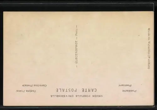 AK Alexandre presente a Napoleon les Cosaques