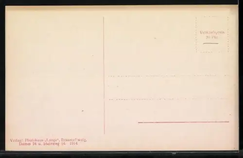 AK Herzogin Viktoria Luise von Braunschweig und ihr kleiner Prinz