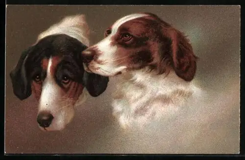 AK Zwei artige Jagdhunde