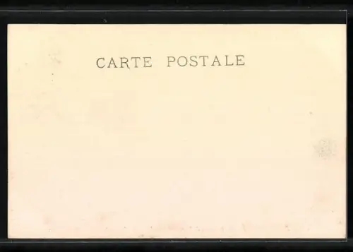 AK Entrevue de Napoleon et de Francois II. apres Austerlitz 1805, Meeting of Napoleon & Francois II 1805