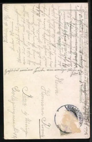 Künstler-AK Kronprinzessin Cecilie im Portrait mit Krone und reich verziertem Kleid