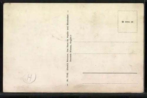 AK Wismar, Hafen mit Booten