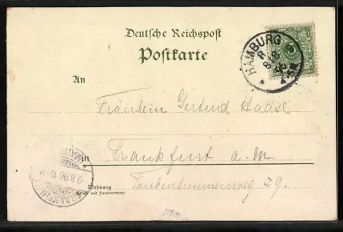 Lithographie Hamburg-St.Pauli, Hafen, Seewarte, Am Fahnenmast, Segelschiffe