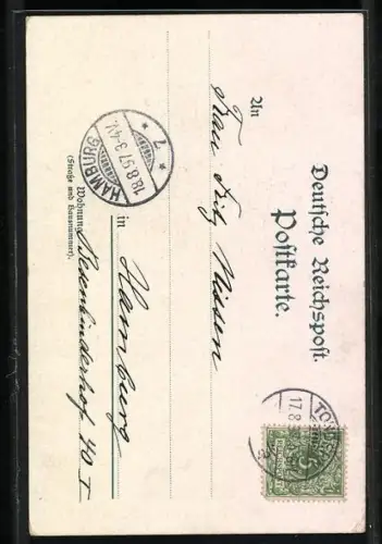 Lithographie Hamburg, Hafen, Quaispeicher u. Dampfer d. Hamburg-Südamerika DG, Segelschiffe