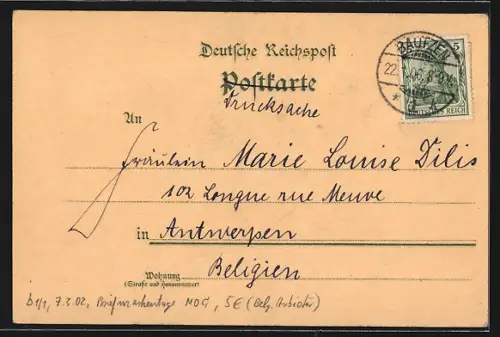 Lithographie Bautzen, Ortsansicht mit Teich