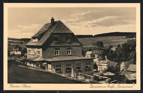 AK Tanne /Harz, Pension u. Café Sanssouci, Bes. H. Greese