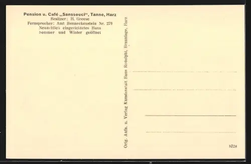 AK Tanne /Harz, Pension u. Café Sanssouci, Bes. H. Greese