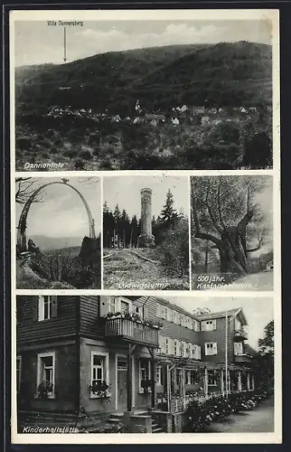 AK Dannenfels, Kinderheilstätte Villa Donnersberg, Moltkebogen, Ludwigsturm, 900 Jahre alte Kastanie