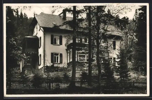 AK Waldbärenburg, Blick auf das Waldhaus Anna