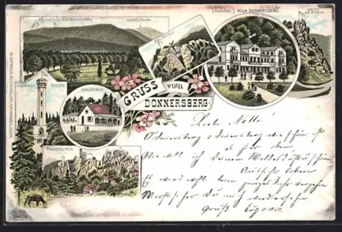 Lithographie Dannenfels am Donnersberg, Gasthaus Villa Donnersberg, Wacht am Rhein, Gasthof Waldhaus, Ludwigs-Thurm